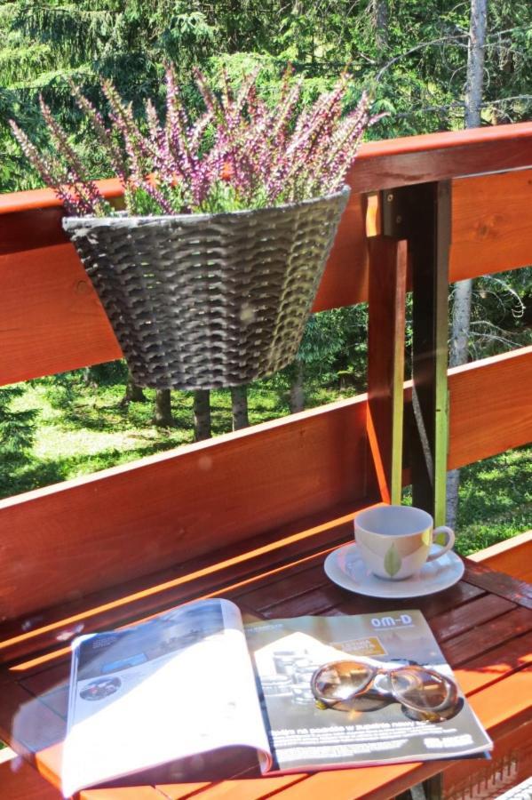 Koscielisko Residence Apartament Halszka 29C Dış mekan fotoğraf